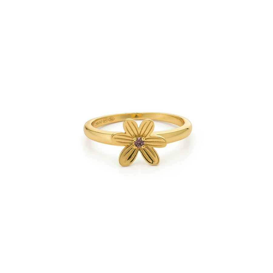 24KAE JEWELS JEWELRY 124155Y/56 — Ansicht 1