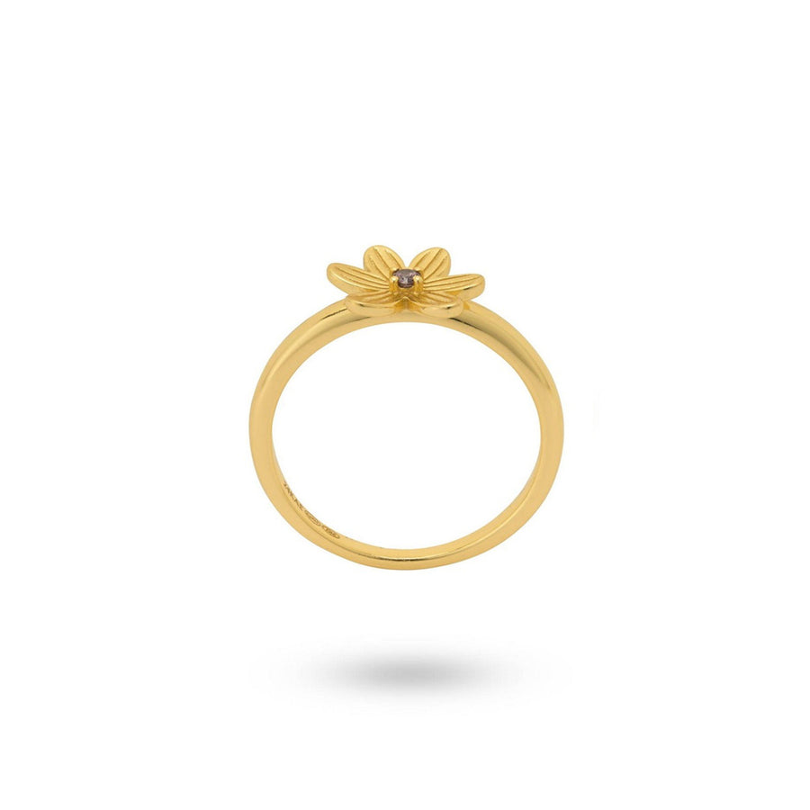24KAE JEWELS JEWELRY 124155Y/56 — Ansicht 2