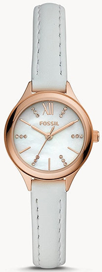 FOSSIL SUITOR — Ansicht 1