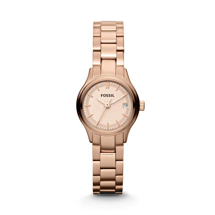FOSSIL ARCHIVAL — Ansicht 1