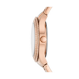 FOSSIL STELLA — Ansicht 2