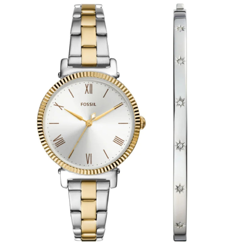 FOSSIL DAISY ***Special pack*** — Ansicht 1