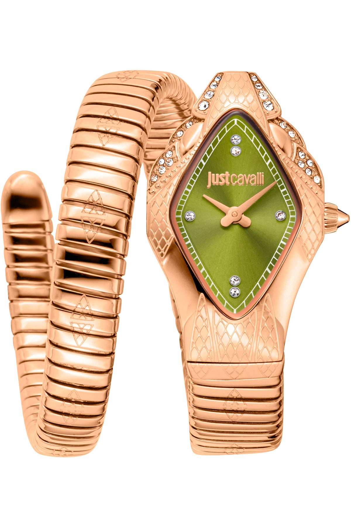 JUST CAVALLI JC1L306M0055 — Ansicht 1